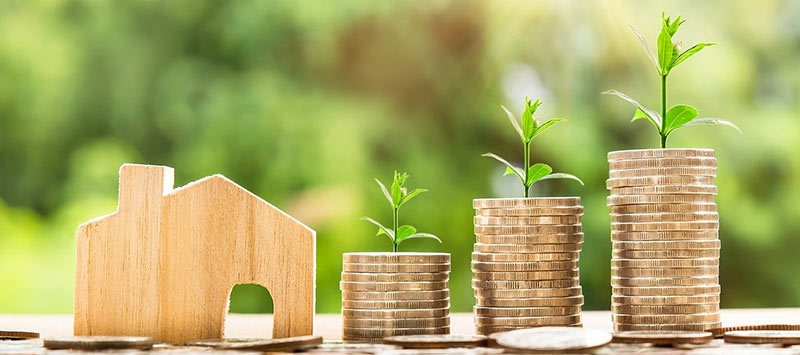 Photo of a little wood house, gold coins stacking up beside it, and little growing green plants like eRank's logo
